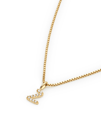 Chain Necklaces